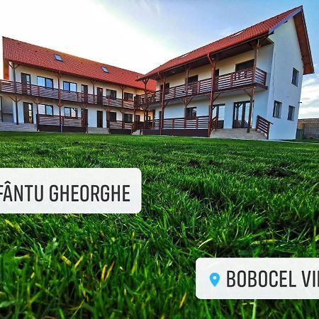 Bobocel Villa Sfântu Gheorghe Esterno foto